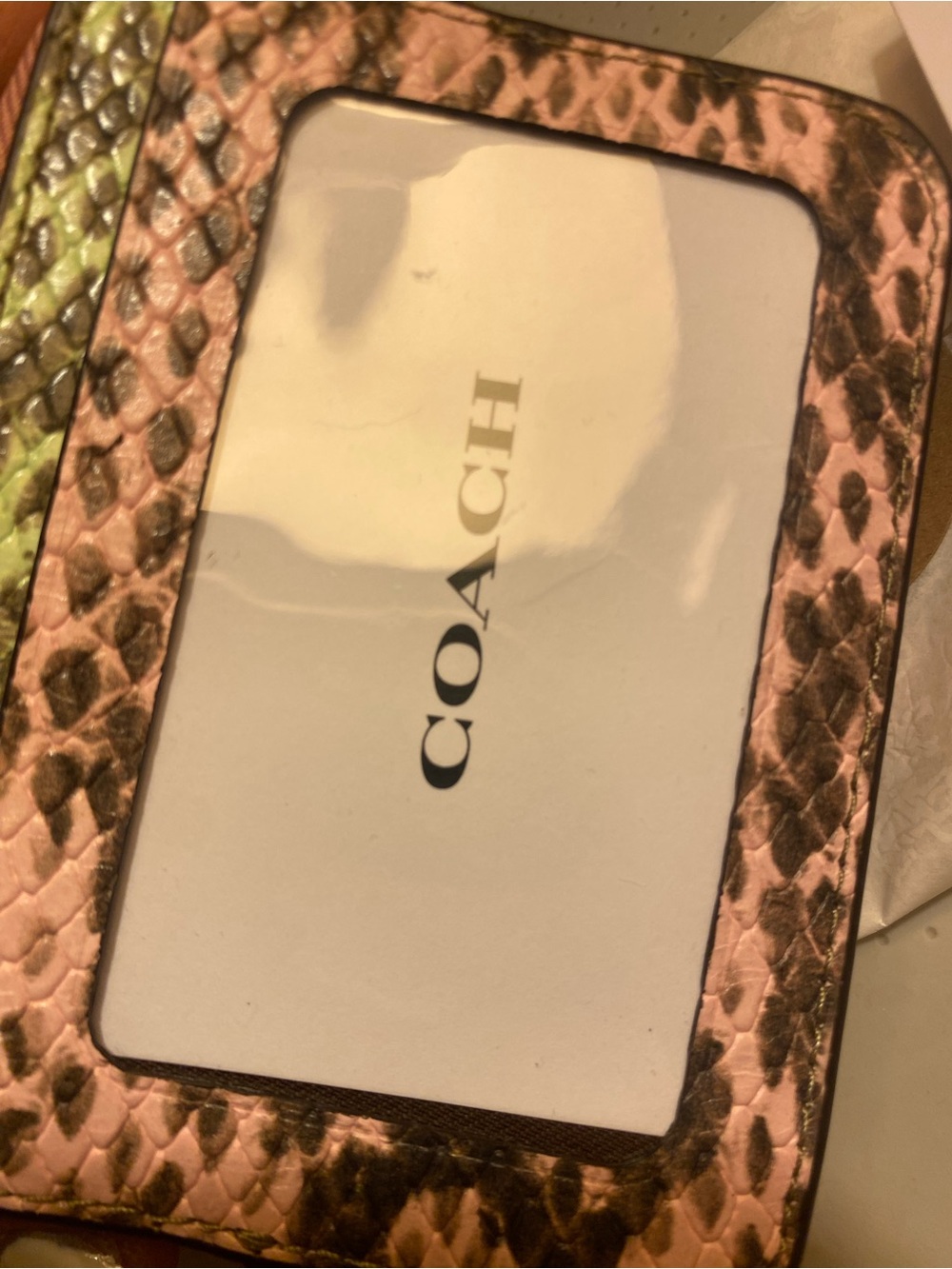 Coach Multicolor Signature Python-Trim Chain Wristlet - Picture 7 of 9